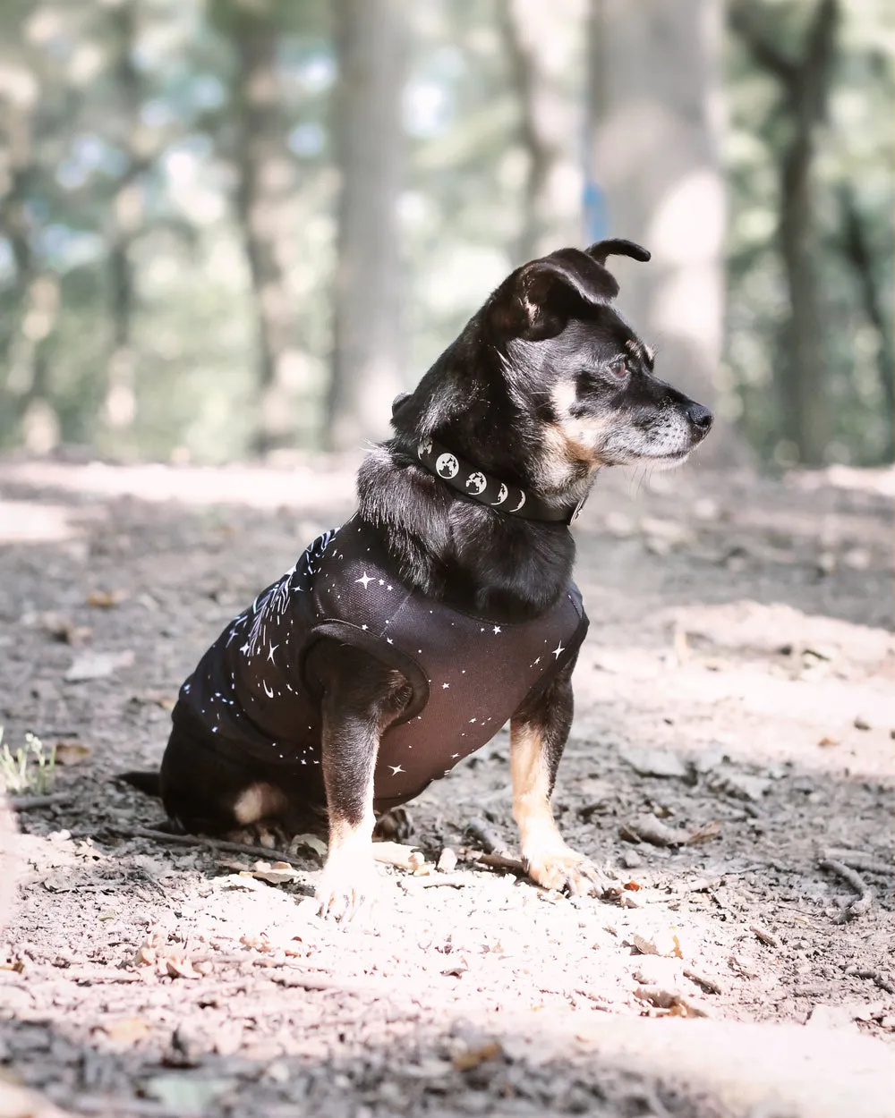 Astral Pet Vest - Dog or Cat