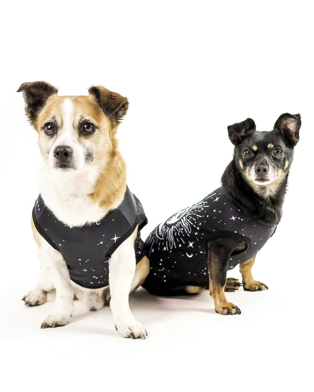 Astral Pet Vest - Dog or Cat