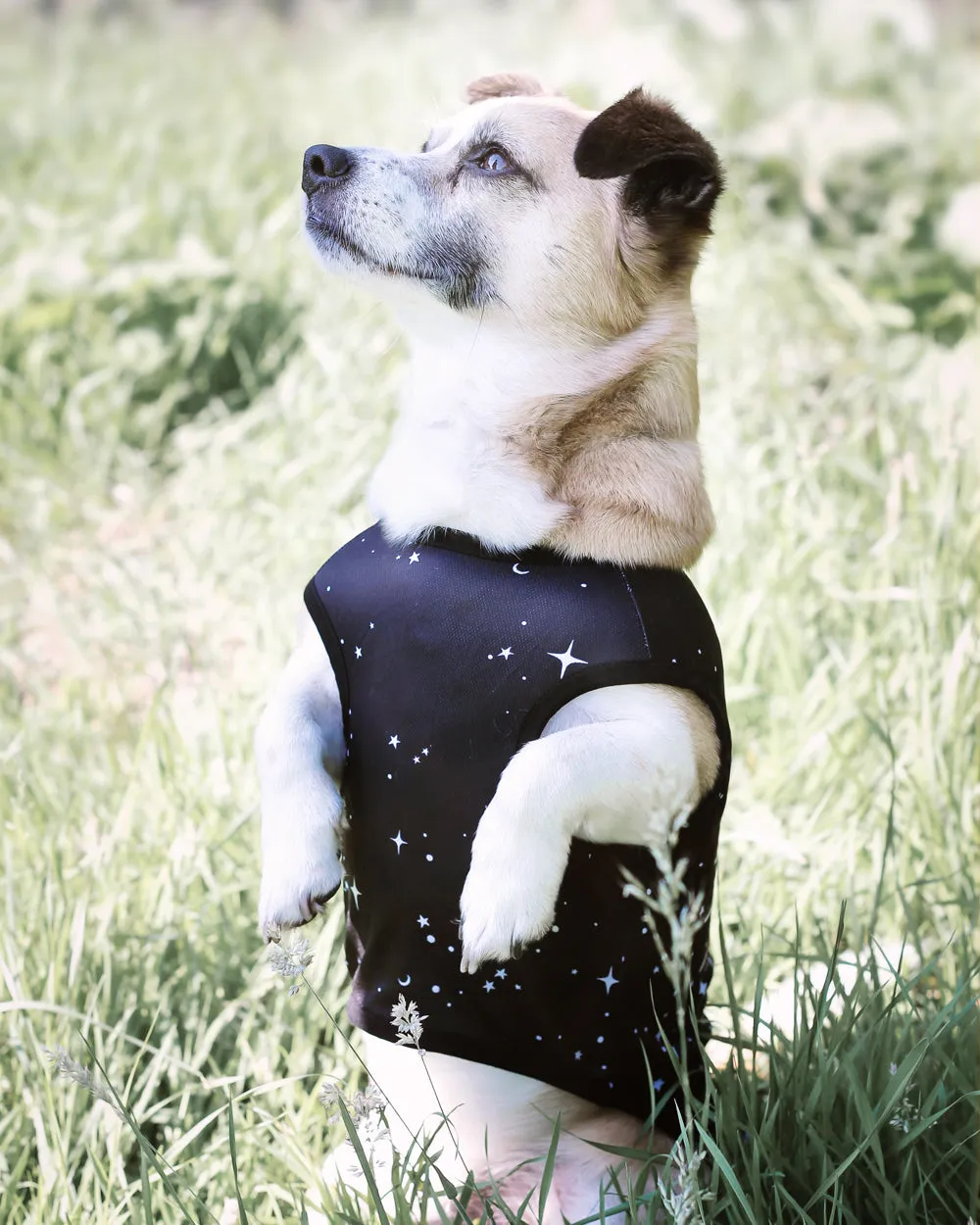 Astral Pet Vest - Dog or Cat