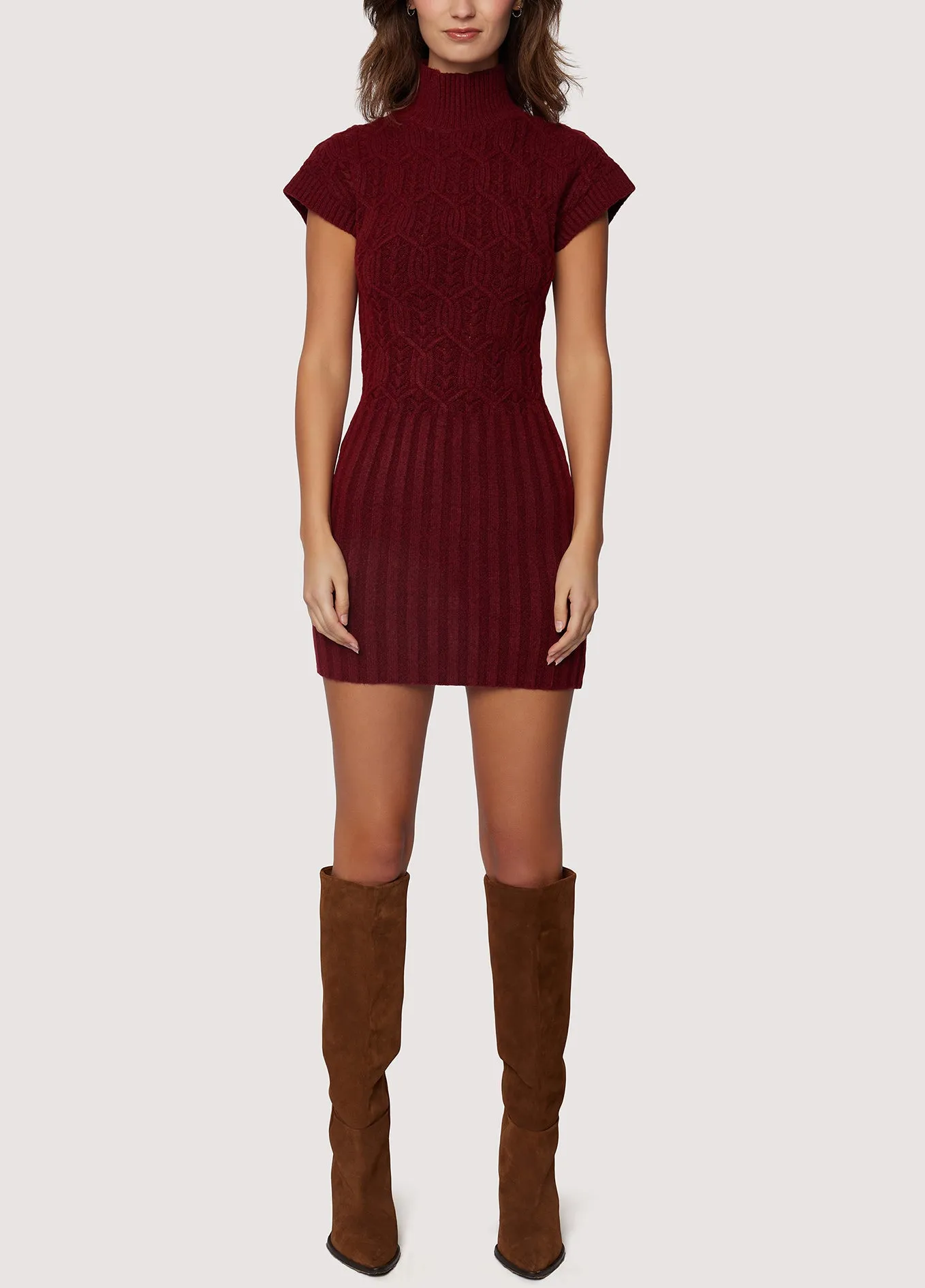 Beatrice Mock Neck Sweater Dress