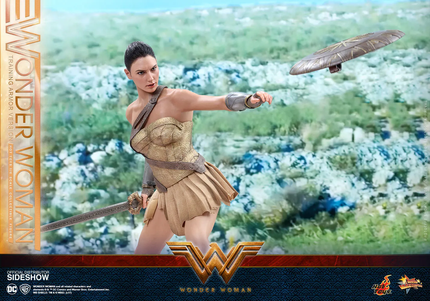 Hot Toys Wonder Woman Training Armor Version- Wonder Woman - Movie Masterpiece Series - Sixth Scale Figure