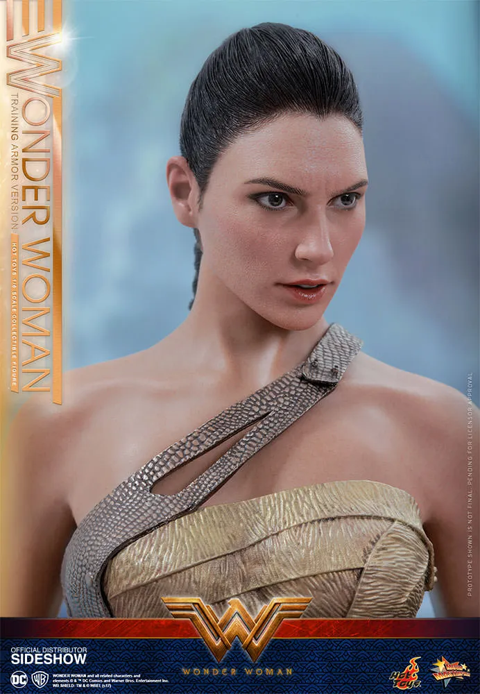 Hot Toys Wonder Woman Training Armor Version- Wonder Woman - Movie Masterpiece Series - Sixth Scale Figure