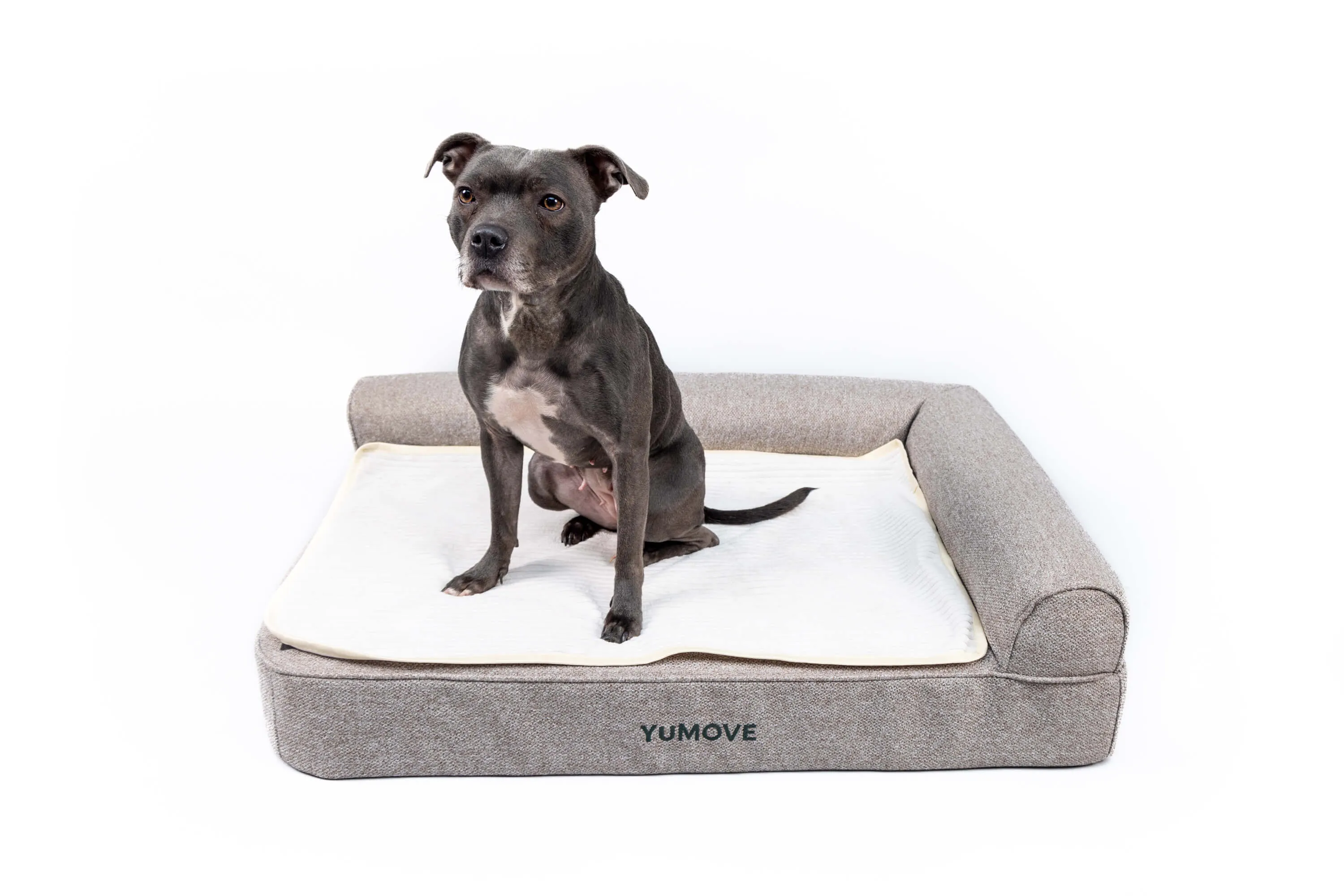 Orthopaedic Pet Bed for Cats & Dogs